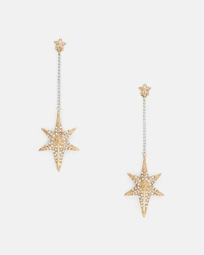Bella Star Pendant Chain Drop Earrings Wrm Brsswrm Silvr Women AllSaints Jewelry