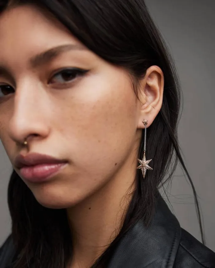Bella Star Pendant Chain Drop Earrings Wrm Brsswrm Silvr Women AllSaints Jewelry Bella Star Pendant Chain Drop Earrings Wrm Brsswrm Silvr Women AllSaints Jewelry