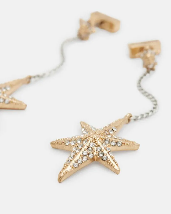 Bella Star Pendant Chain Drop Earrings Wrm Brsswrm Silvr Women AllSaints Jewelry Bella Star Pendant Chain Drop Earrings Wrm Brsswrm Silvr Women AllSaints Jewelry