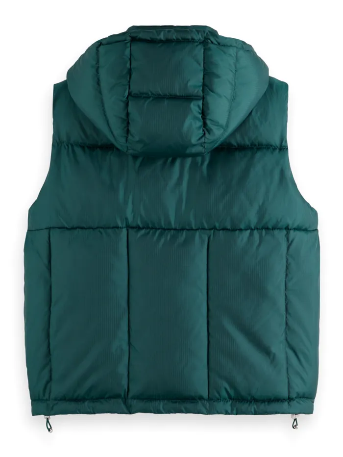 BODYWARMER WITH HOOD Cypress Green Women Scotch and Soda Jackets and Coats