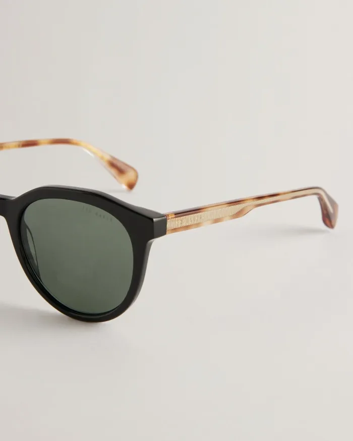 Men ARIIE 8211 Round Frame Tortoiseshell Detail Sunglasses Black Ted Baker Sunglasses Men ARIIE 8211 Round Frame Tortoiseshell Detail Sunglasses Black Ted Baker Sunglasses