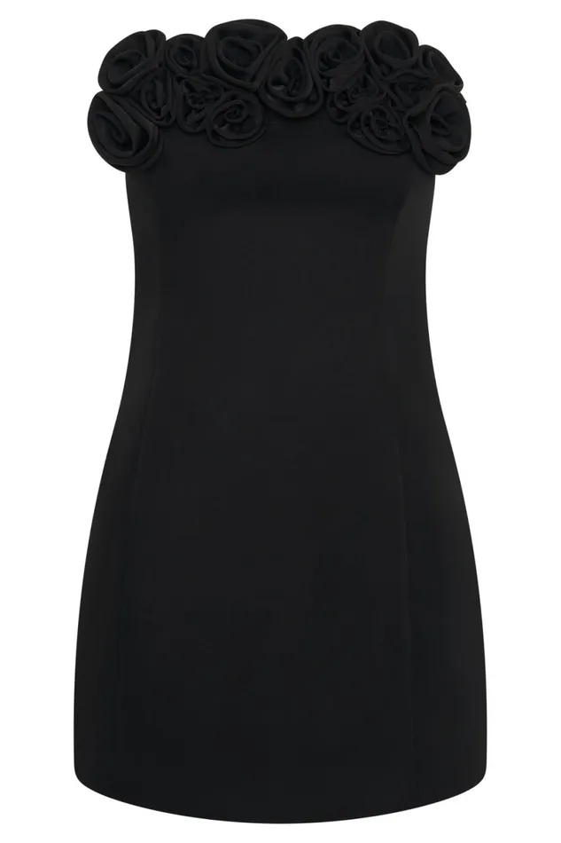Meshki Mini Dresses Brooks Rose Mini Dress 8211 Black Black 8211 Women