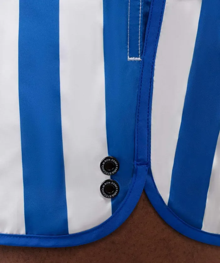 Ron Dorff Marathon Swim Shorts Vertical Wide Stripes Greek BlueWhite Men Swim Shorts