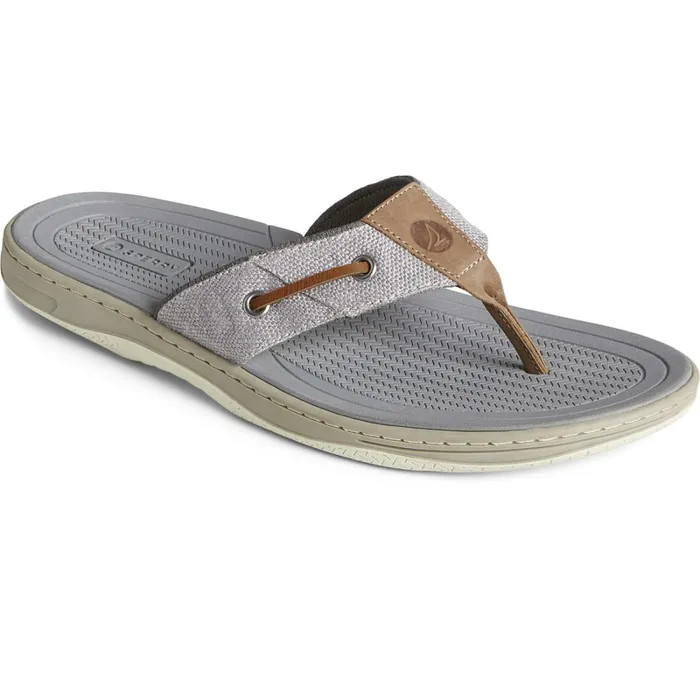 Sandals Men Sperry SeaCycled Baitfish Baja Flip Flop Grey