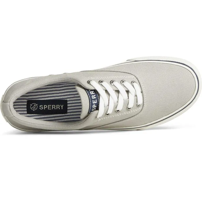 Sneakers Men Sperry Striper II Canvas CVO Sneaker Grey Sneakers Men Sperry Striper II Canvas CVO Sneaker Grey