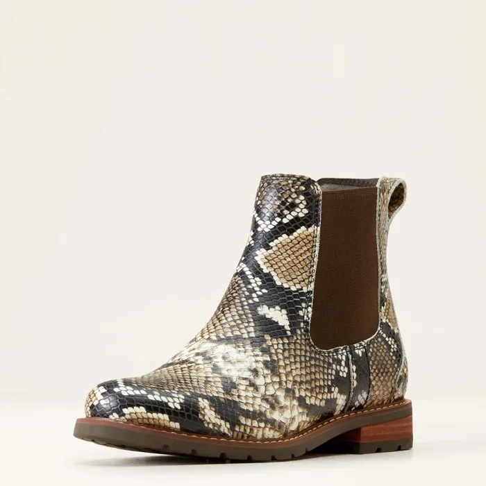 Wexford Chelsea Boot Snake Print Women Ariat Booties