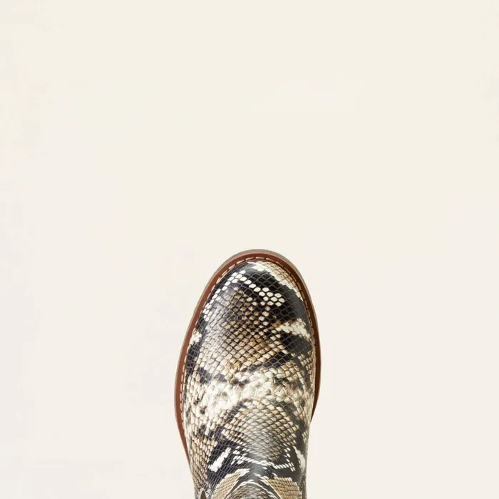 Wexford Chelsea Boot Snake Print Women Ariat Booties Wexford Chelsea Boot Snake Print Women Ariat Booties