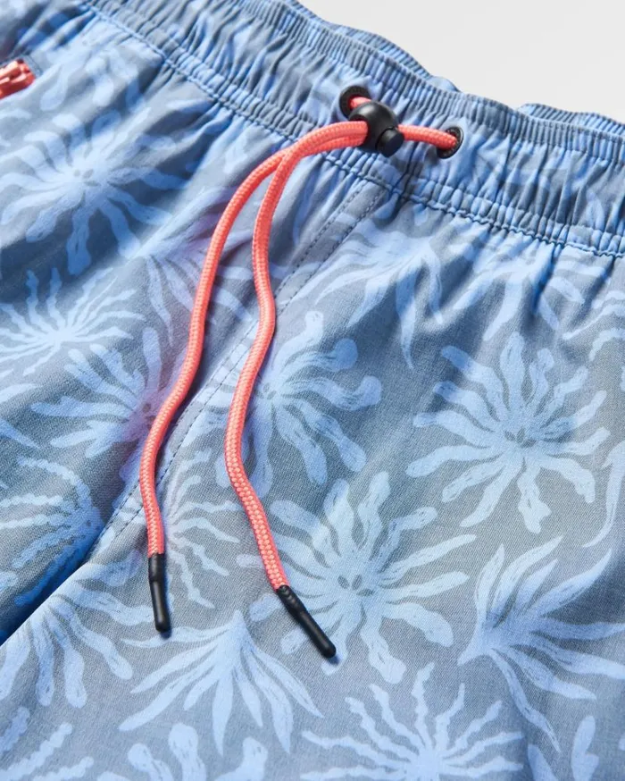 Women Bottoms Passenger Way Out Organic All Purpose Short Seaweed Blue Steel Seaweed Blue Steel
