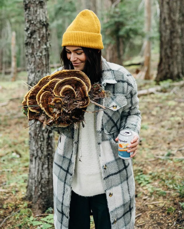 Women Tops Passenger Cloudy Recycled DeepPile Sherpa Fleece Shirt Pistachio Check Pistachio Check